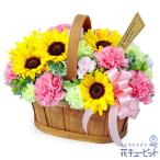 【ひまわり特集】花キューピット お中元 暑中見舞い お祝い ひまわりのハーモニーバスケット(ピンク)