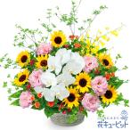 【ひまわり特集】花キューピット お中元 暑中見舞い お祝い ひまわりと胡蝶蘭の豪華なアレンジメント