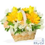 【チューリップ特集】花キューピット お誕生日 記念日 歓送迎 お祝い ホワイトデー チューリップのバスケットアレンジメント