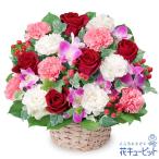 バラ特集 花 プレゼント ギフト 誕生日 赤バラのアレンジメント