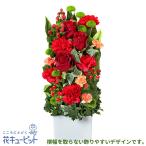【バラ特集】花キューピット 花 プレゼント ギフト 誕生日 赤色のスリムなアレンジメント