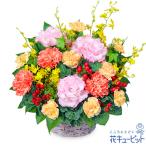 ショッピングカーネーション 【お正月】花キューピット 花 新年 賀正 年賀 正月飾り 玄関 巳年 迎春 オレンジカーネーションのアレンジメント