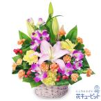 【お正月】花キューピット 花 新年 賀正 年賀 正月飾り 玄関 巳年 迎春 ユリの豪華なミックスアレンジメント
