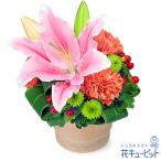 【誕生日フラワーギフト】花キューピット 女性 男性 彼氏彼女 夫妻 父母 ギフト プレゼント ユリのミニポットアレンジメント