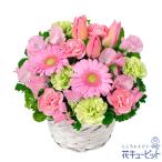 [ день рождения цветок подарок ] цветок кий pito женщина мужчина .. она Хара ... подарок подарок розовый тюльпан. аранжировка 