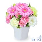 【誕生日フラワーギフト】花キューピット 女性 男性 彼氏彼女 夫妻 父母 ギフト プレゼント ピンクガーベラのナチュラルアレンジメント