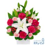 誕生日フラワーギフト 女性 男性 彼氏彼女 夫妻 父母 ギフト プレゼント 白ユリとピンクのアレンジメント