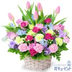 【誕生日フラワーギフト】花キューピット 女性 男性 彼氏彼女 夫妻 父母 ギフト プレゼント チューリップのミックスアレンジメント
