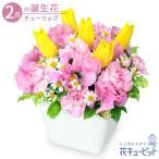 2月の誕生花（チューリップ） 誕生日 お祝い 記念日 プレゼント 家族 友人 花キューピットのイエローチューリップのアレンジメント