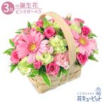 [3 месяц. рождение цветок ( розовый гербера )] цветок кий pito день рождения праздник память день подарок розовый дерево корзина организовать 