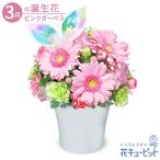 3月の誕生花（ピンクガーベラ） 誕生日 お祝い 記念日 プレゼント 花キューピットのガーベラのエレガントアレンジメント