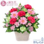 3月の誕生花（ピンクガーベラ） 誕生日 お祝い 記念日 プレゼント 花キューピットのピンクガーベラのアレンジメント