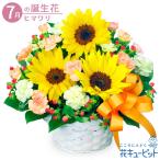 7月の誕生花（ひまわり） 花 ギフト 誕生日 プレゼント花キューピットのひまわりのアレンジメント