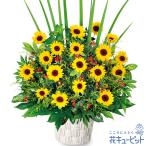 7月の誕生花(ひまわり) 花 ギフト 誕生日 プレゼントひまわりの華やかなアレンジメント