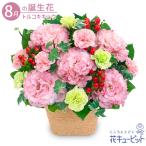 【8月の誕生花(トルコキキョウ)】花キューピット 花 ギフト 誕生日 プレゼントトルコキキョウのナチュラルなアレンジメント