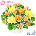 【10月の誕生花(バラ)】花キューピット 花 ギフト 誕生日 お祝い 記念日 オレンジバラのアレンジメント
