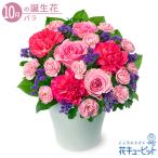 【10月の誕生花（バラ）】花キューピット 花 ギフト 誕生日 お祝い 記念日 ピンクバラの華やかなアレンジメント