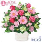 11月の誕生花（ガーベラ） プレゼント 誕生日 お祝い 記念日 花キューピットのピンクガーベラのアレンジメント