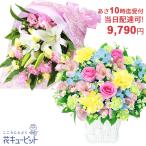 お誕生日 当日配達 あすつく 翌日配達 お祝い 記念日 プレゼント 彼氏彼女 夫婦 母の日父の日花束・フラワーアレンジメント