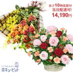 【お誕生日 当日配達】花キューピット10時迄注文できょうつく  即日配達 お祝い 彼女 母 女性男性 30代40代50代60代70代 花束・フラワーアレンジメント