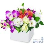 【お祝い】花キューピット 誕生日 記念日 結婚祝い 就職退職 歓送迎 還暦 開店開業 卒業入学 生花 デンファレのキューブアレンジメント