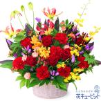 【お祝い】花キューピット 誕生日 記念日 結婚祝い 就職退職 歓送迎 還暦 開店開業 卒業入学 生花 レッド&イエローの華やかアレンジメント