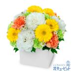【お祝い】花キューピット 敬老の日 誕生日 記念日 結婚祝い 歓送迎 還暦 開店開業 卒業入学 生花 イエローガーベラのキューブアレンジメント
