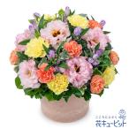 【お祝い】花キューピット 誕生日 記念日 結婚祝い 就職退職 歓送迎 還暦 開店開業 卒業入学 生花 ピンクリンドウのポットアレンジメント