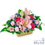 【お祝い】花キューピット 誕生日 記念日 結婚祝い 就職退職 歓送迎 還暦 開店開業 卒業入学 生花 ピンクユリの華やかなアレンジメント