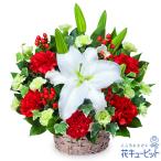 【お祝い】花キューピット 敬老の日 誕生日 記念日 結婚祝い 歓送迎 還暦 開店開業 卒業入学 生花 白ユリのアレンジメント