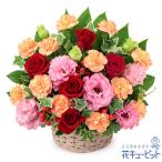 【お祝い】花キューピット 敬老の日 誕生日 記念日 結婚祝い 歓送迎 還暦 開店開業 卒業入学 生花 カラフルなバスケットアレンジメント