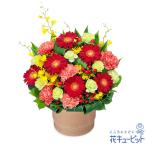 【開店祝い・開業祝い】花キューピット 開設 移転 引越 記念日 花 ギフト お祝い プレゼント 赤ガーベラのポットアレンジメント