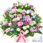 【開店祝い・開業祝い】花キューピット 開設 移転 引越 記念日 花 ギフト お祝い プレゼント ピンクトルコキキョウの豪華なアレンジメント