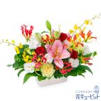【開店祝い・開業祝い】花キューピット 開設 移転 引越 記念日 花 ギフト お祝い プレゼント ユリとグロリオサの豪華なアレンジメント