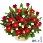 【開店祝い・開業祝い】花キューピット 開設 移転 引越 記念日 花 ギフト お祝い プレゼント 赤バラと赤ガーベラの豪華なアレンジメント