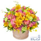 【新築引っ越し祝い】花キューピット 開店開業 新装改装改築 花 ギフト お祝い プレゼント アルストロメリアのポットアレンジメント