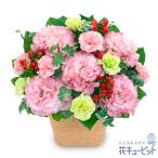 退職祝い 花 ギフト お祝い プレゼントトルコキキョウのナチュラルなアレンジメント