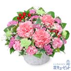 【お見舞い】花キューピット 花 ギフト プレゼント 快気祝い 10代20代30代40代50代60代 ピンクカーネーションのアレンジメント