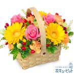【お見舞い】花キューピット 花 ギフト プレゼント 快気祝い 10代20代30代40代50代60代 ピンク＆イエローのアレンジメント