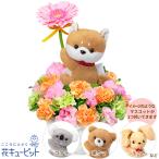 【退院祝い・快気祝い】花キューピット 花 ギフト プレゼント 退院祝い 快気祝い 10代20代30代40代50代60代 ピンクガーベラのマスコット付きアレンジメント