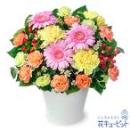 【退院祝い・快気祝い】花キューピット 花 ギフト プレゼント 退院祝い 快気祝い 10代20代30代40代50代60代 ピンクガーベラのミックスアレンジメント