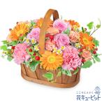 【退院祝い・快気祝い】花キューピット 花 ギフト プレゼント 退院祝い 快気祝い 10代20代30代40代50代60代 ピンクとオレンジのハーモニーバスケット