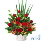 還暦祝い・長寿祝い 花 ギフト 誕生日 お祝い 記念日 赤バラの豪華なアレンジメント