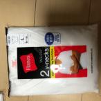 送料込み Hanes  ヘイン