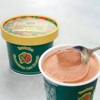 【30%OFFクーポン対象】アイスクリーム Chocolate Ice Cream 東京フード チョコレートアイス 122ml×6 送料込み