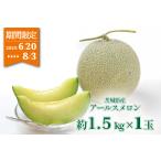 【40%OFFクーポン対象】<期間限定>メロン アールスメロン 青肉メロン 茨城県産 1玉 約1.5kg以上 予約販売 送料込み