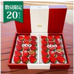 ショッピングお歳暮 2023 イチゴ　いばらキッス　数量限定　茨城県産　9粒〜18粒(350ｇ以上)×2パック　化粧箱　送料込み