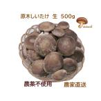 ���؂��������E���E500g�@���ƒ�p�A�����p�@�����@�_��s�g�p�@70�N�ȏ�͔̍|�������u�E�Y�f�Ɏ�g�ލ����_���v���璼�ڂ��͂��@�N�[���փT�[�r�X�@