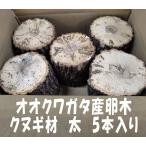 KL105  �I�I�N���K�^ �Y���� �N�k�M ���E5�{���� �_��s�g�p ���Y���� ������14�����A������11~14�����y��10�N�Ԃ�̔̔��ĊJ�I�z�y�_�ƒ����z������