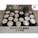 KS1box  �I�I�N���K�^ �Y���� �N�k�M �ׁE������i18~25�{�j �_��s�g�p ���Y���� ������14�����A������6~9�����y��10�N�Ԃ�̔̔��ĊJ�I�z�y�_�ƒ����z������